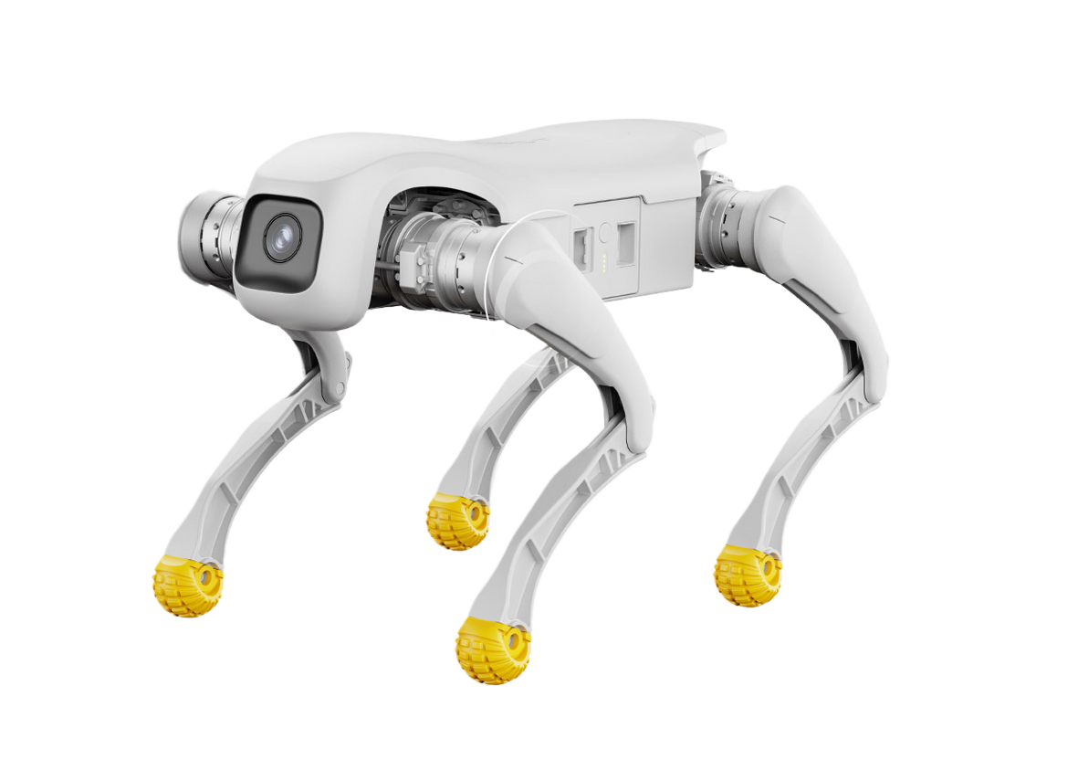 ThinkNEO Lingxi D1 Pro/Edu Governed