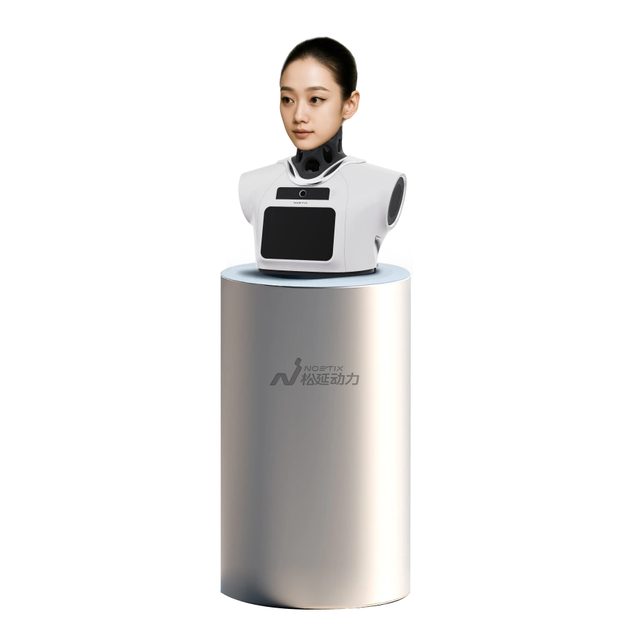 ThinkNEO Noetix Hobbs 3 (xiaonuo) Governed